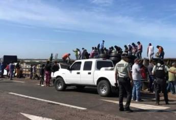 Tráiler cargado de cerdos vuelca en la maxipista Mazatlán - Culiacan