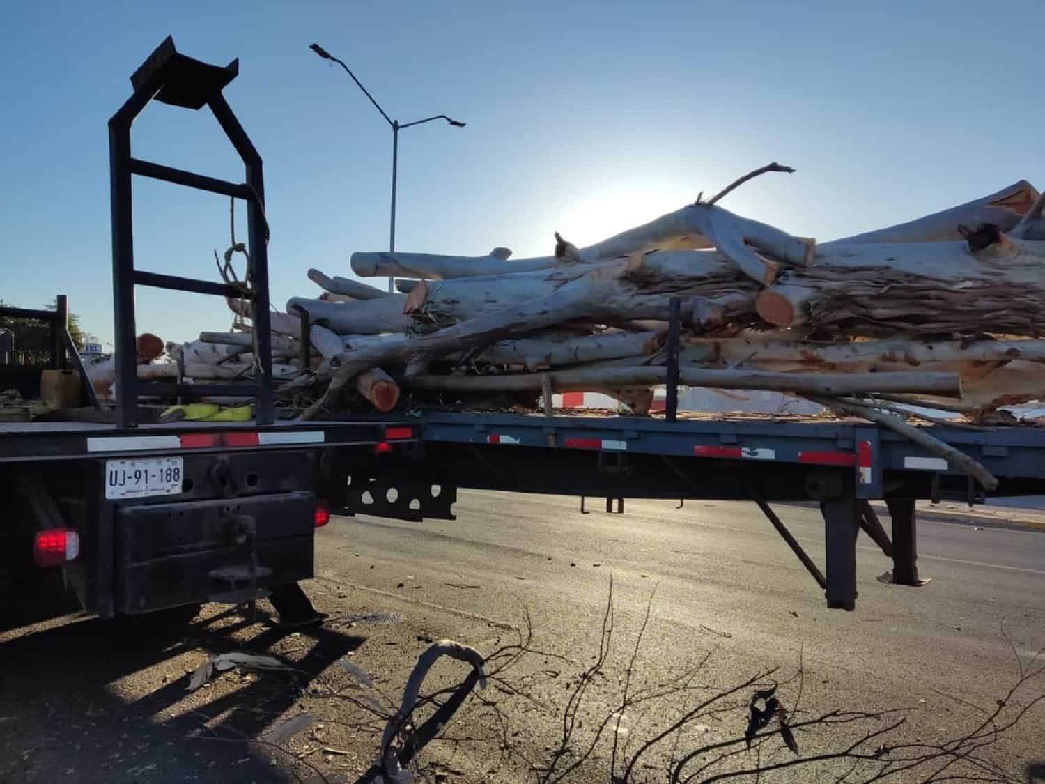 Advierten fuertes sanciones contra ecocidios en Ahome