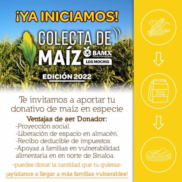 Imagen Placeholder
