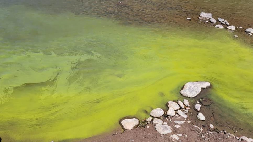 Reportan contaminación del río Huerachi, en Chihuahua