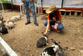 Para fomentar el cuidado a los animales «La Granjita» abre sus puertas en el Zoo de Culiacán