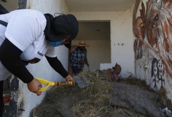 Familias de desaparecidos hallan 20 bolsas con restos óseos en Jalisco