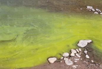 Supuesta contaminación de Río Huerachi no se ha visto reflejada en presa «Huites»