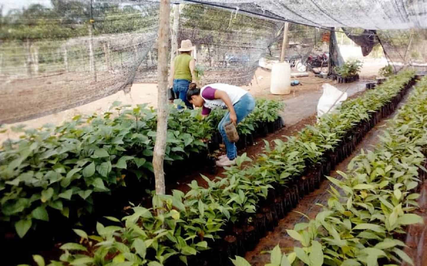 FOTO: elsoldemexico.com.mx