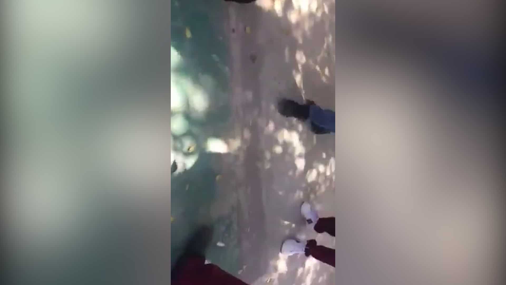 Se registra pelea entre estudiantes de la ETI 74; SEPyC reprueba acto y alista sanción