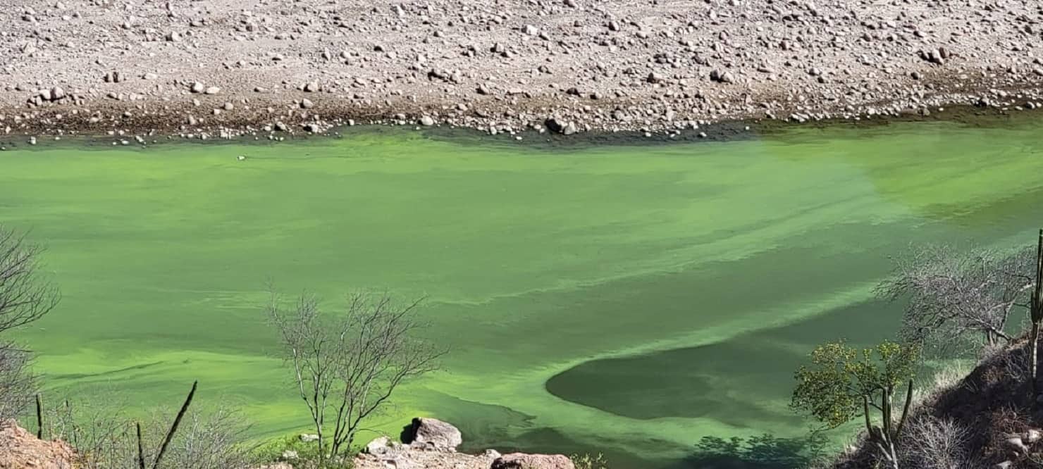 FOTO: Ernesto Torres.