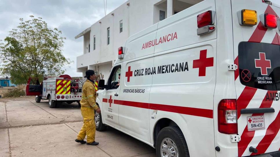 Muere tras ser atacado por enjambre, en Guamúchil