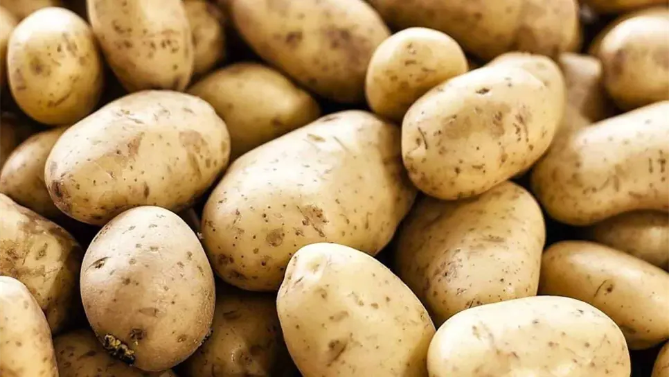 FOTO: Archivo | Luz Noticias.