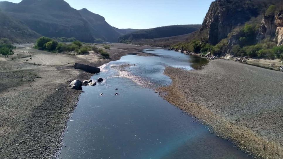 Conagua y CFE investigan supuesta contaminación del Río Güerachi