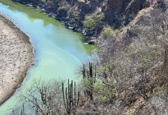 Coepriss analizará la contaminación del agua en la cuenca del río Fuerte