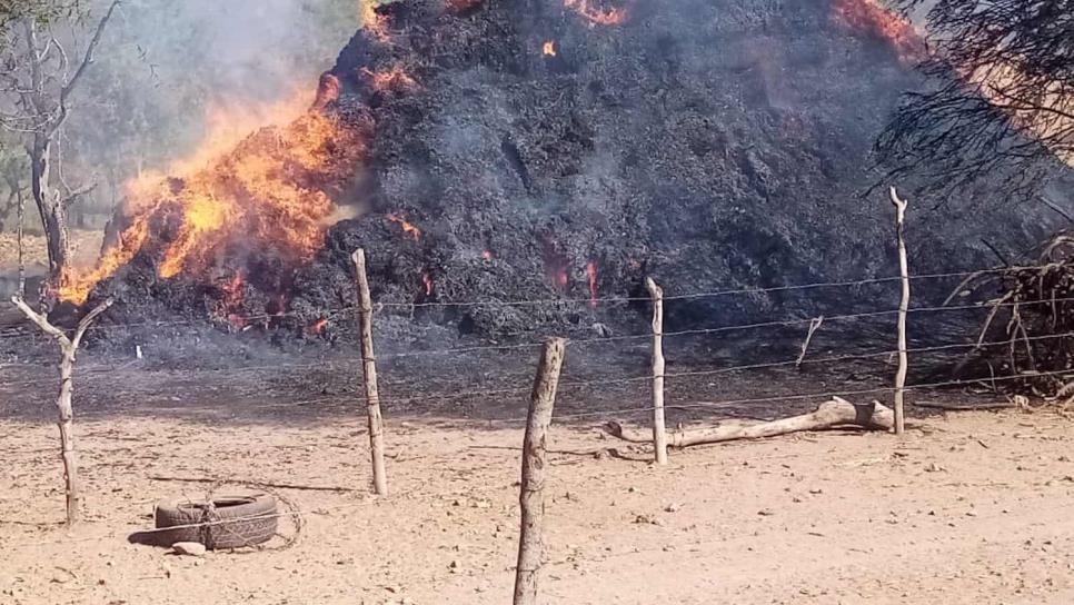 Incendio consume pacas y automóviles en Ahome