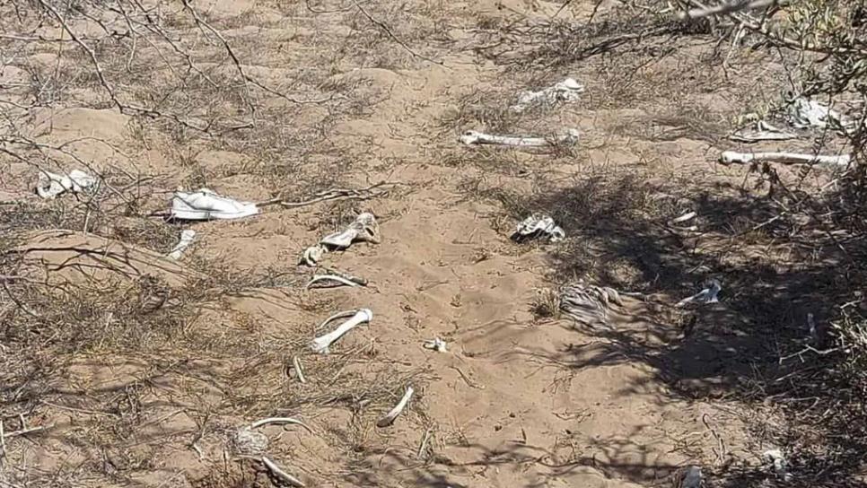 Localizan restos humanos en playa de Angostura