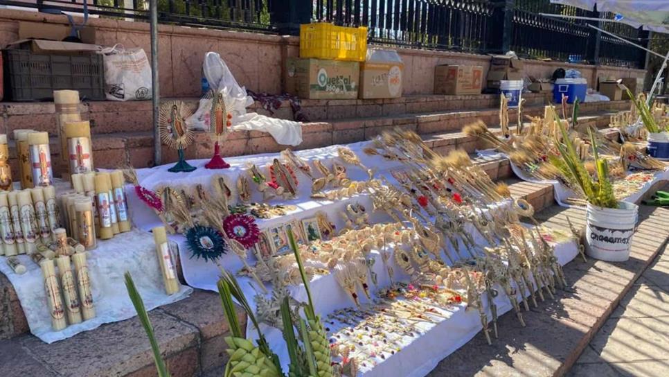 Vendedores de Palma: una tradición familiar en Semana Santa  en la Catedral