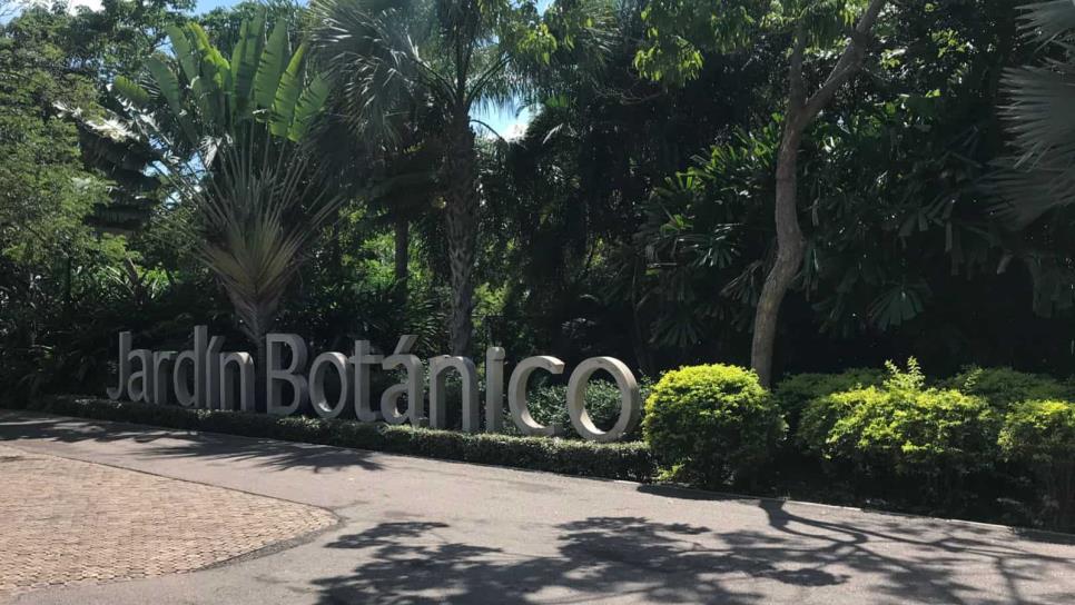 Detienen al acusado de presunta violación en el Jardín Botánico de Culiacán
