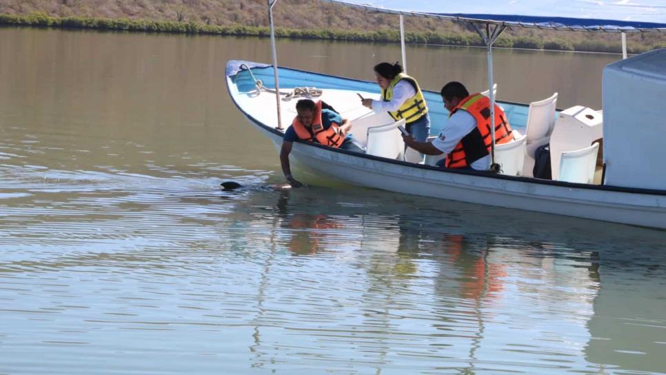 Analizan cierre permanente de acceso a visitas para «El Pechocho»