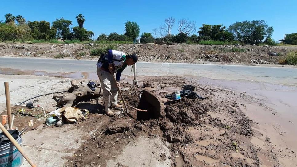 Cancela Japama toma clandestina en el fraccionamiento Los Naranjos