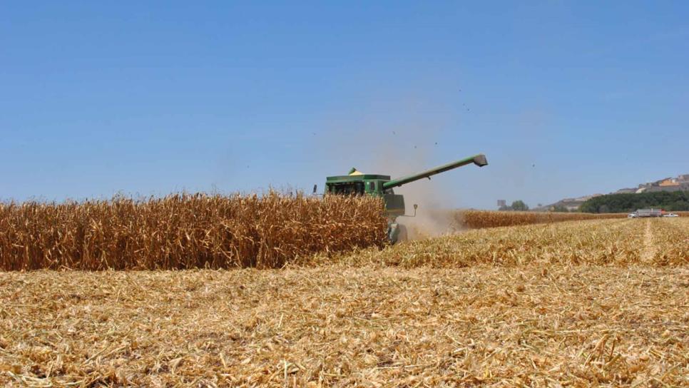 Rusia incrementa acciones bélicas contra Ucrania limitando exportación de granos