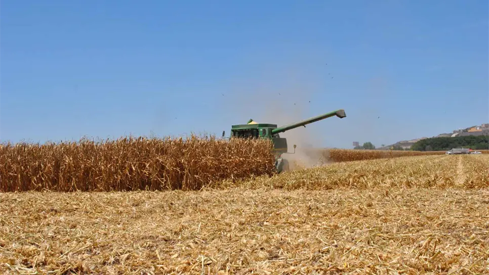 FOTO: Luz Noticias | Temática.