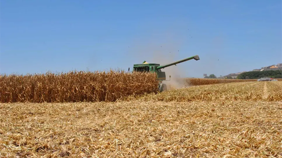 FOTO: Luz Noticias | Archivo.