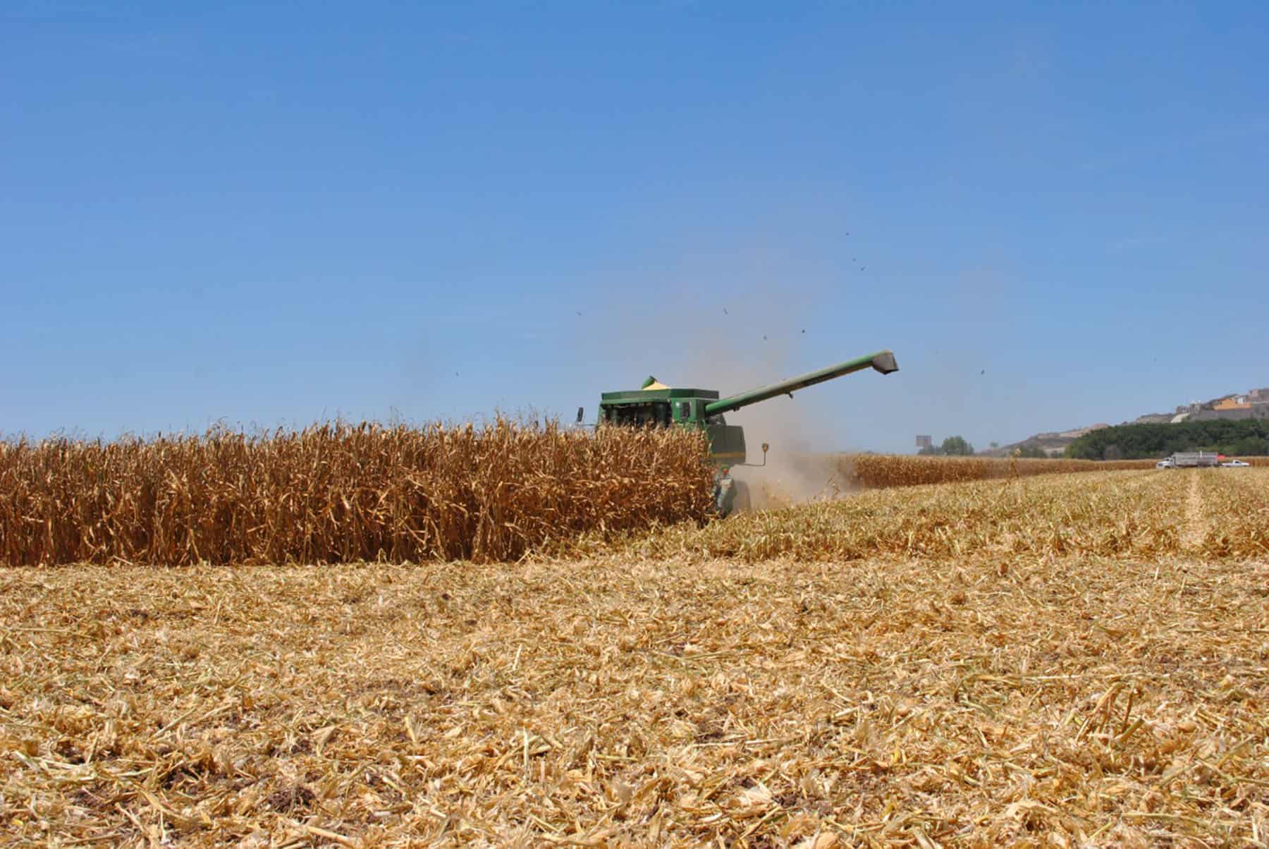 FOTO: Luz Noticias | Archivo.