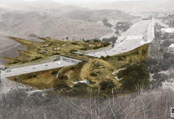 Comienza construcción del puente silvestre más grande del mundo en California