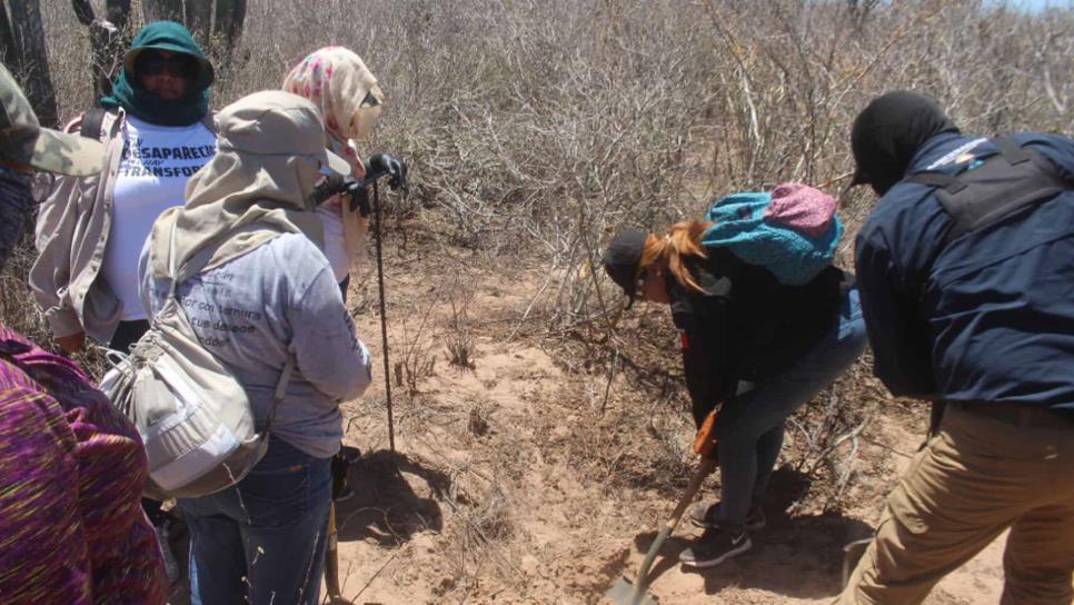 Realiza en búsqueda federal en El Guachapori, suman casi 200 cuerpos en fosas