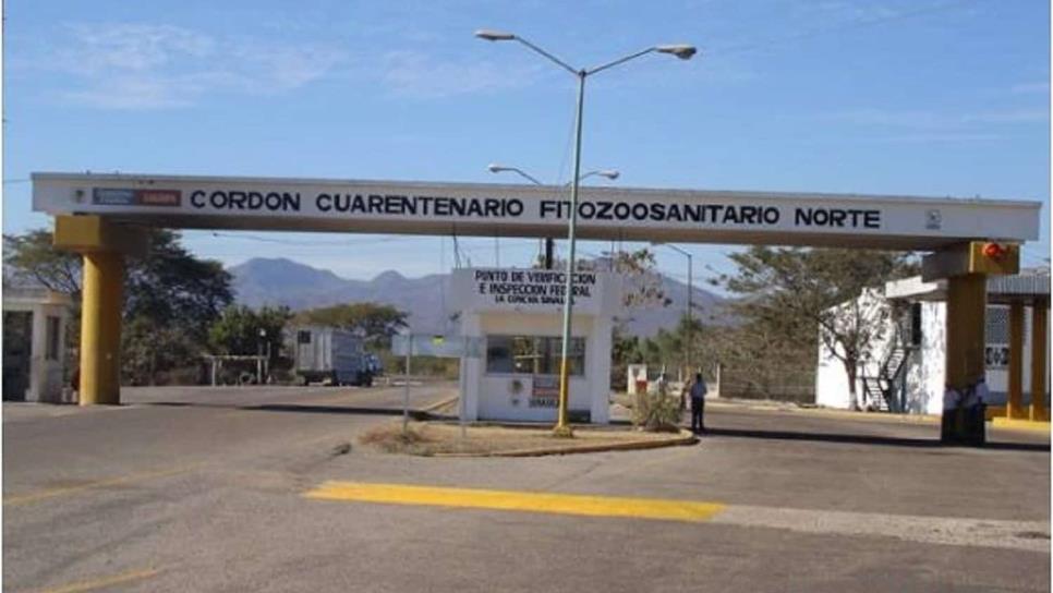 Sinaloa blindará sus fronteras por Influenza aviar