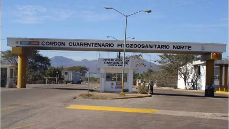Sinaloa blindará sus fronteras por Influenza aviar