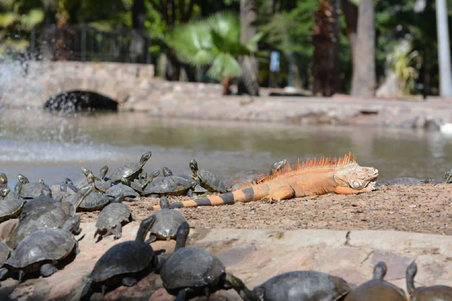 FOTO: Javier Monreal.