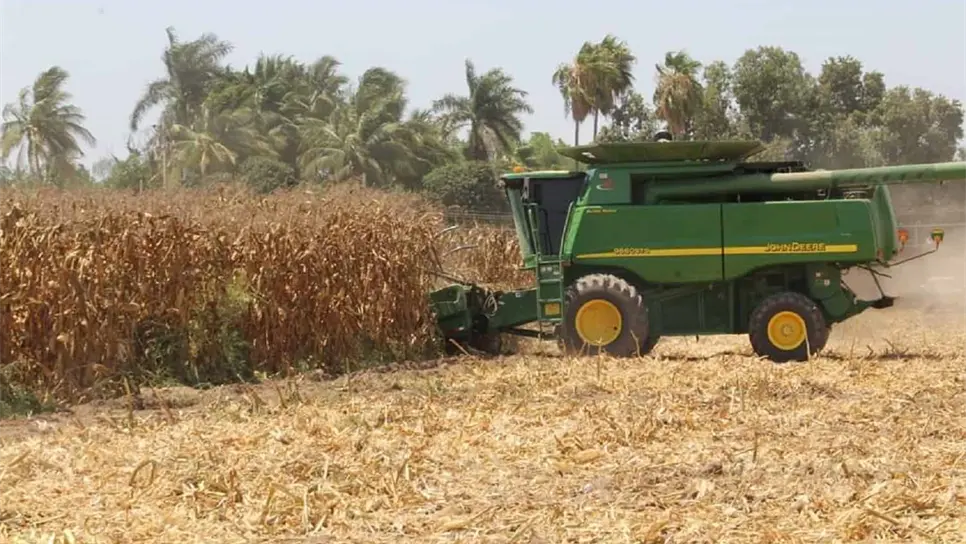 FOTO: Luz Noticias | Archivo.