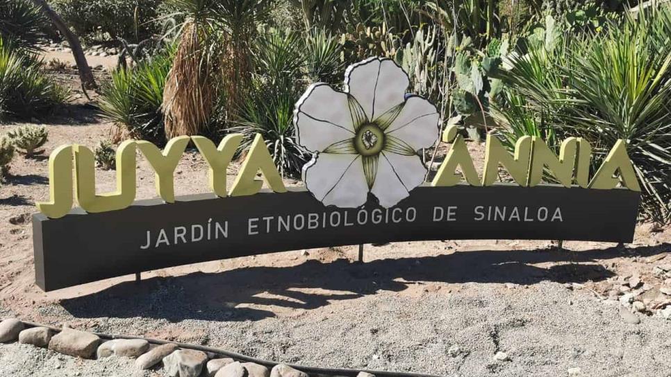 «Juyya Ánnia», primer jardín etnobiológico de la cultura mayo-yoreme