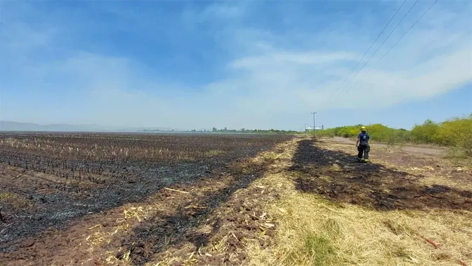 FOTO: Luz Noticias | Archivo.