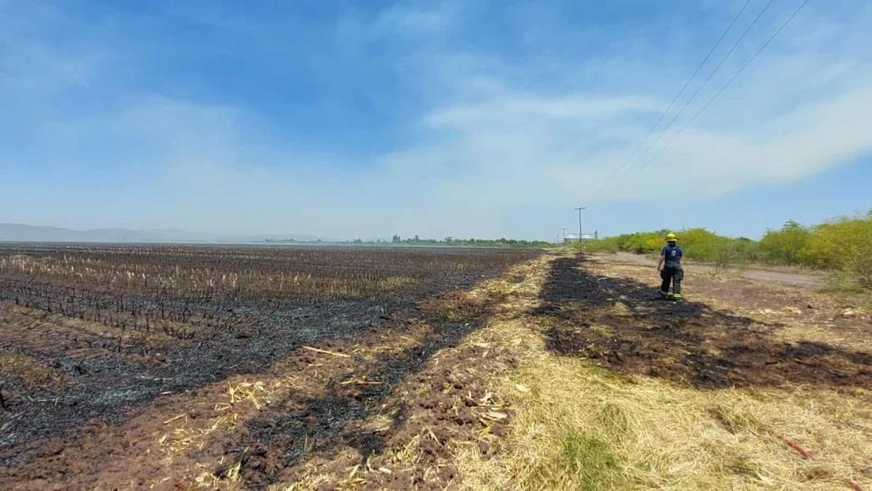 Cortocircuito en maquinaria provoca el incendio de 60 hectáreas de soca