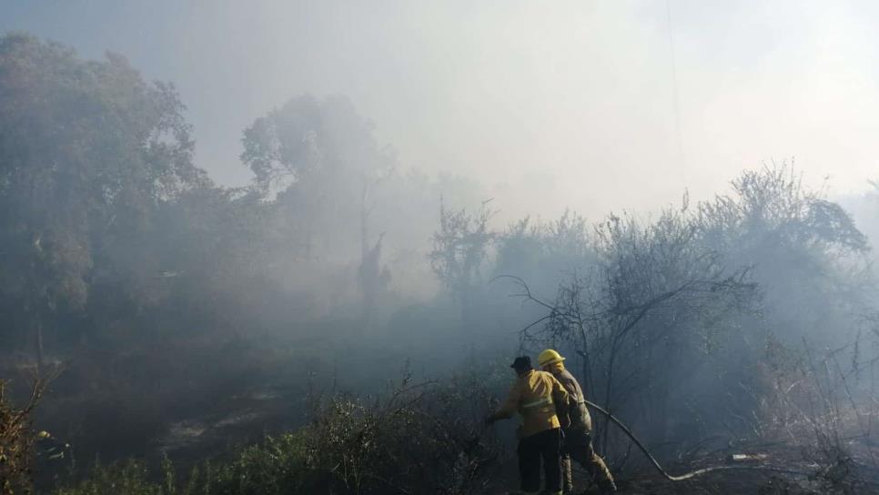 Cortina de humo cubre el sector Tres Ríos tras incendio junto al Parque Las Riberas