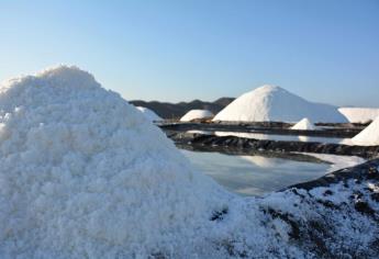 Bajo el sol y un volcán nace una sal mexicana usada por reconocidos chefs