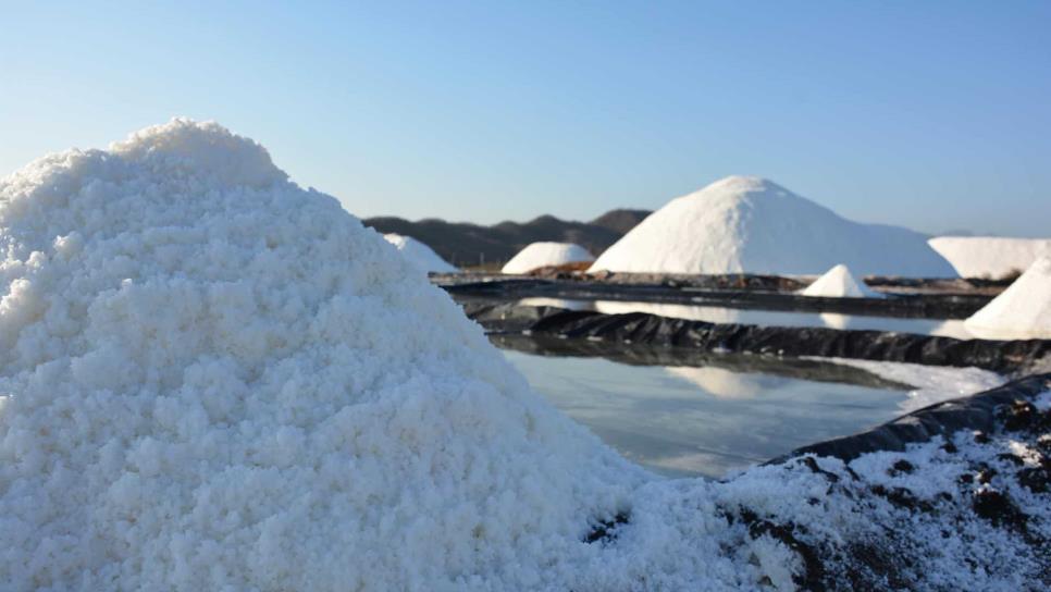 Bajo el sol y un volcán nace una sal mexicana usada por reconocidos chefs