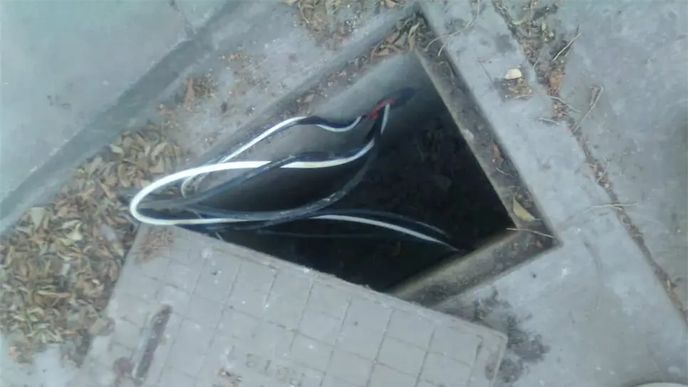 FOTO: Luz Noticias | Temática.