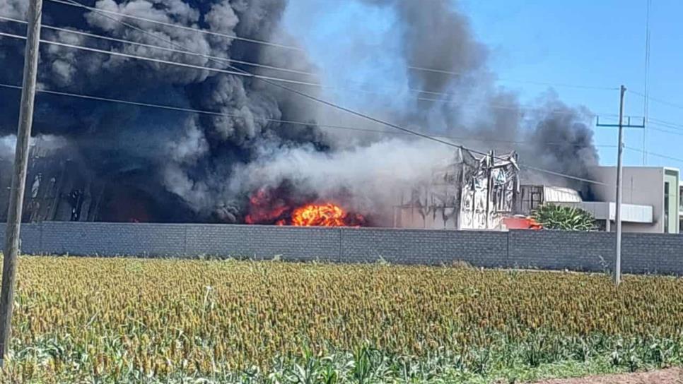 Incendio arrasa con una congeladora de camarón en Guasave