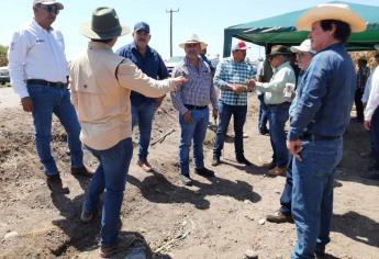 Se encamina Sinaloa hacía una agricultura más orgánica