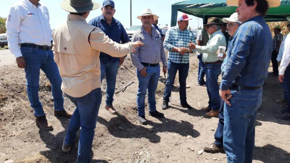 Se encamina Sinaloa hacía una agricultura más orgánica