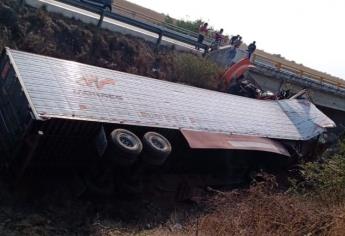 Tráiler vuelca en la maxipista Culiacán - Mazatlán; el chófer queda lesionado