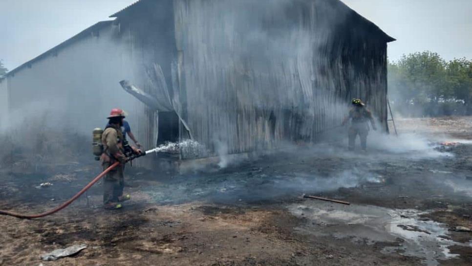 Se incendia bodega y parte de un vivero en El Walamo