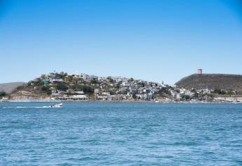 Estudia la Profepa condiciones que hacen que ballena permanezca en bahía de Topolobampo