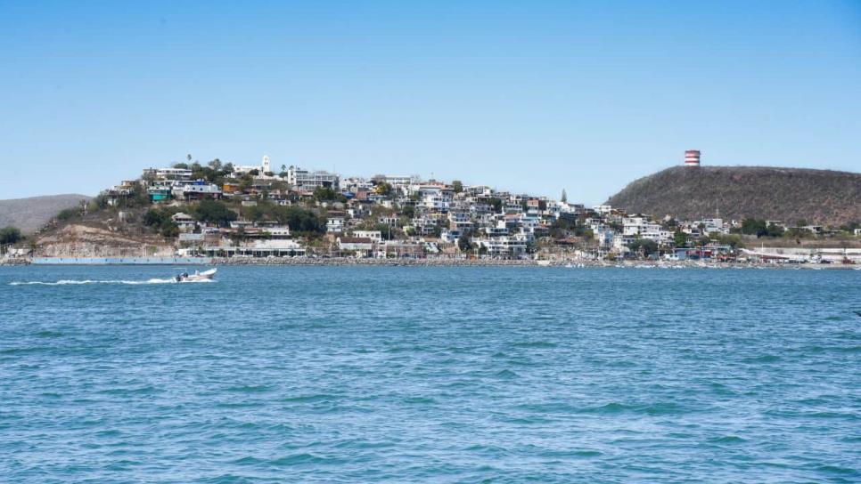 Estudia la Profepa condiciones que hacen que ballena permanezca en bahía de Topolobampo