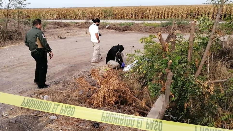 Hallan cadáver emplayado frente a la facultad de agronomía de la UAS, en Culiacán