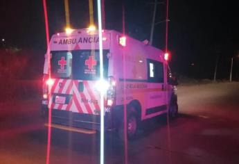 Muere adulto mayor tras caer de un árbol en Guasave
