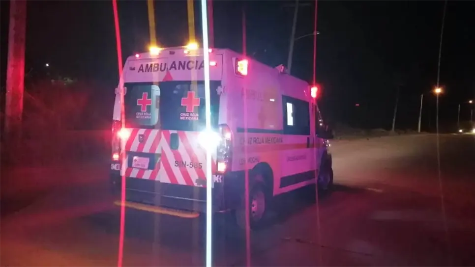Muere adulto mayor tras caer de un árbol en Guasave