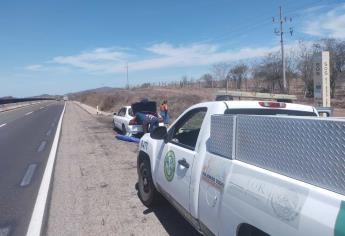 Aumenta afluencia de vehículos un 15 % en carreteras de Sinaloa