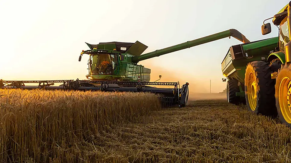 FOTO: Luz Noticias | Temática.