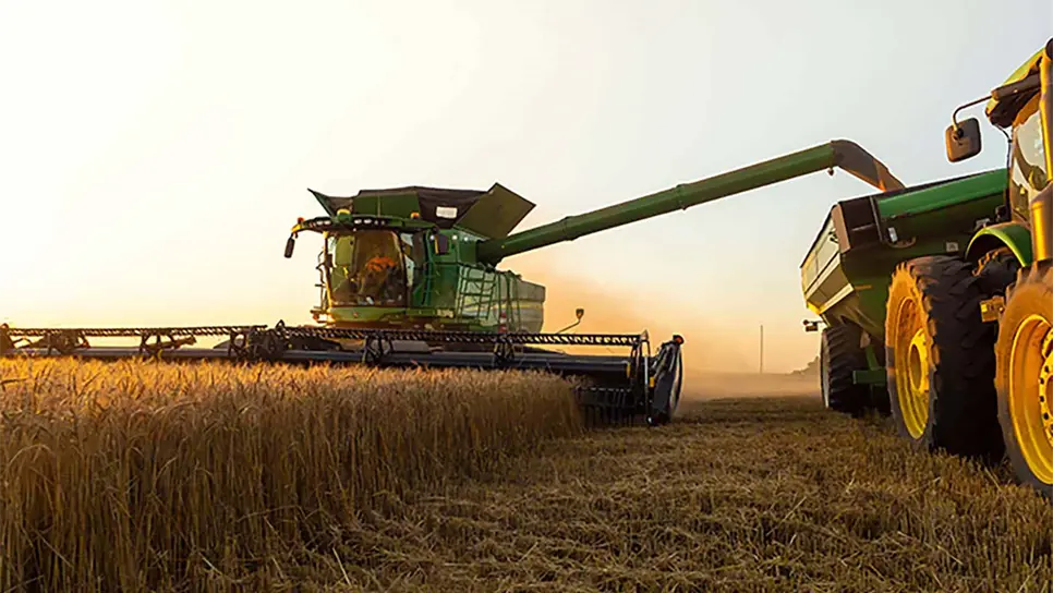 FOTO: Luz Noticias | Temática.